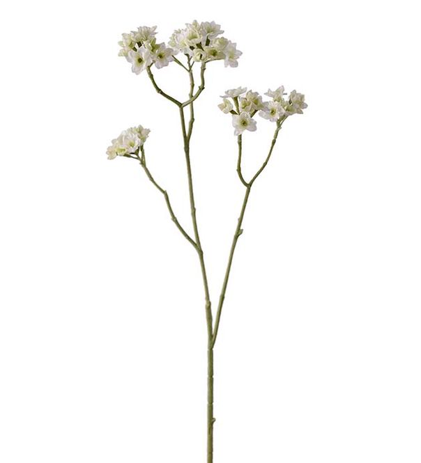 Hovedbilde Blomstergren 80 cm