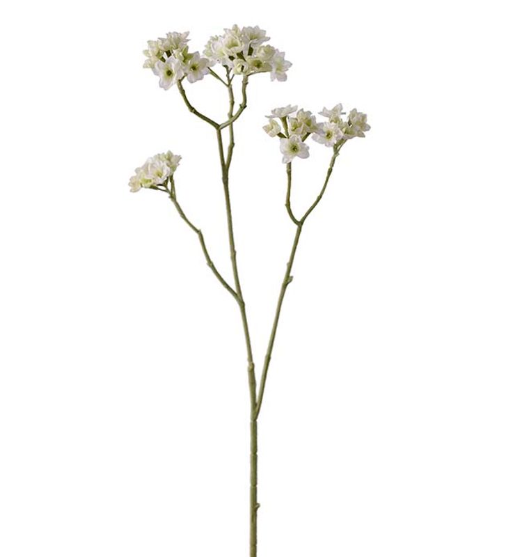 Blomstergren 80 cm