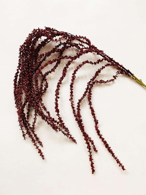 Hovedbilde Amaranth rød