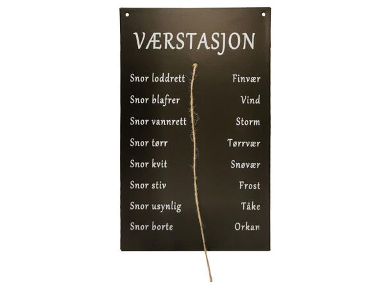 Temperaturmåler med snor