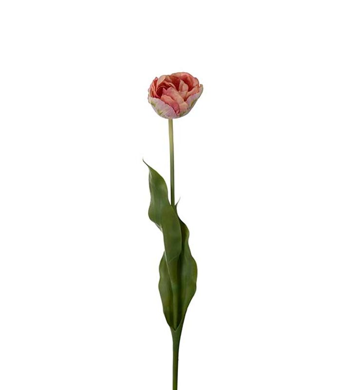 Tulipan Dus rosa 67cm