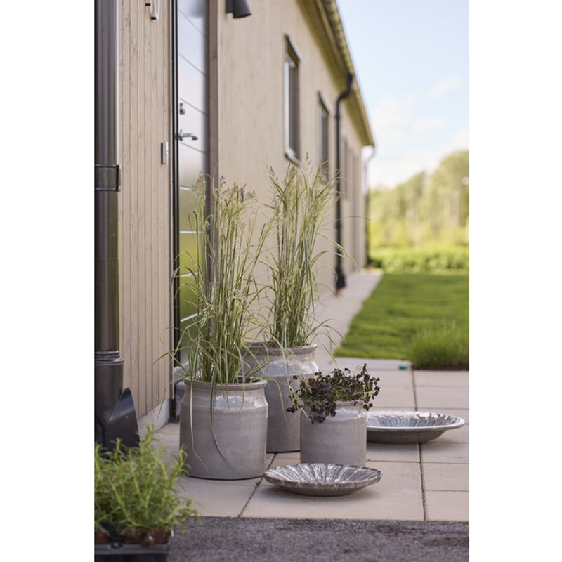 Blomma vannspeil/bad