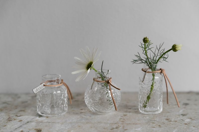 Ernst Mønstret vase 3pk Klar