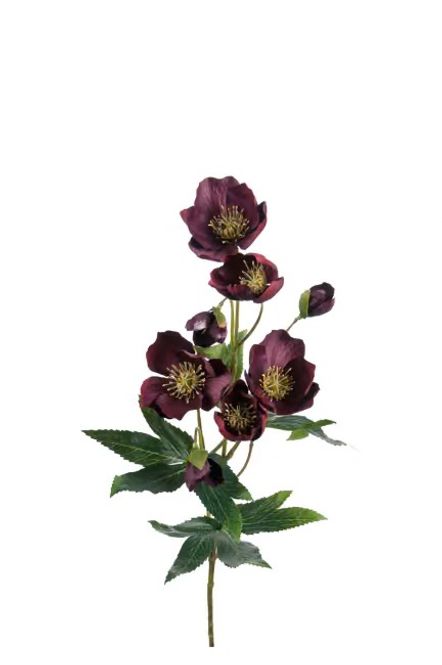 Hovedbilde Julerose 63cm Burgunder