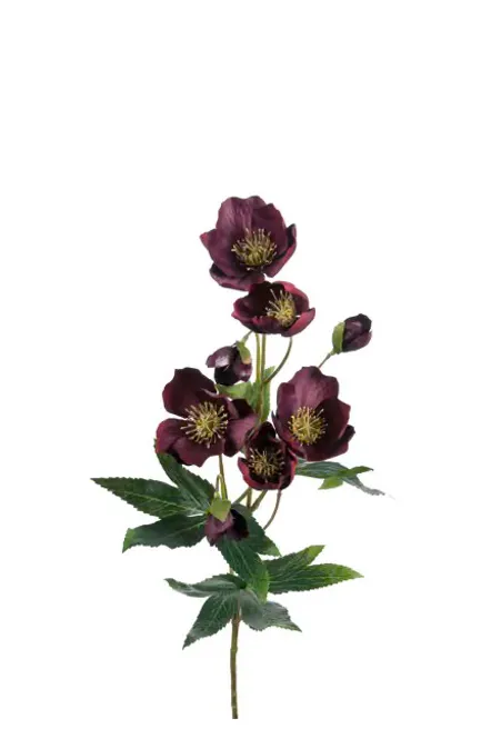 Hovedbilde Julerose 63cm Burgunder